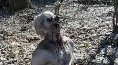 Чёрный Список 5 сезон 16 серия